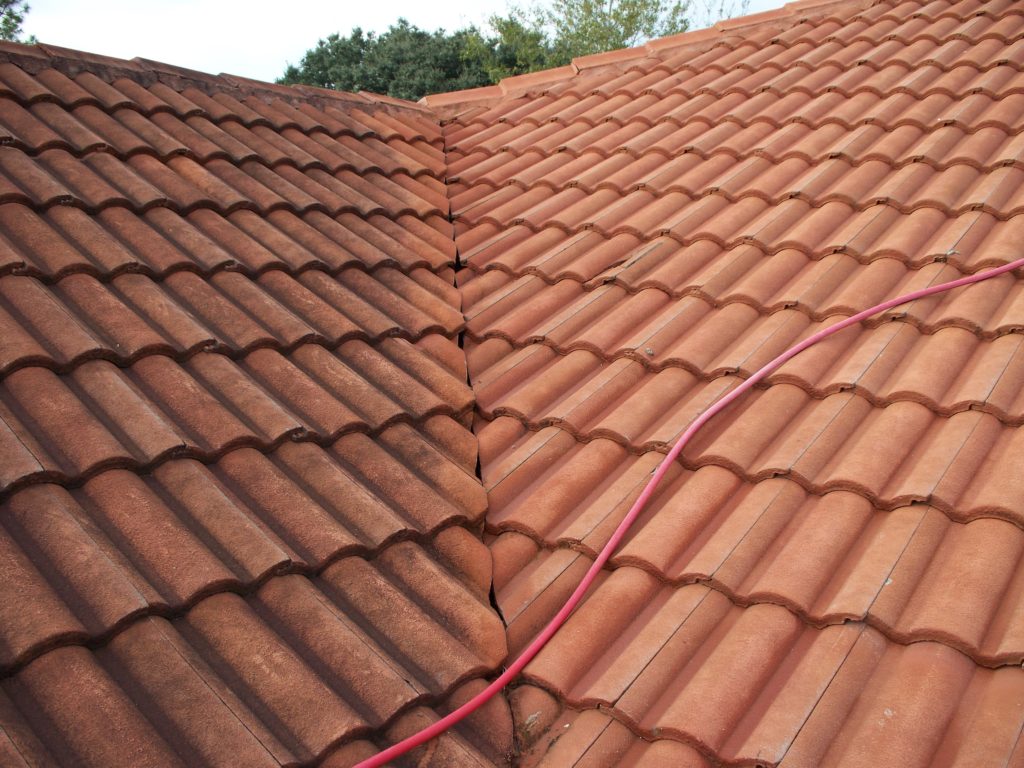 Chemical Roof Cleaning AMAZINGLY CLEAN, INC. (check specials)