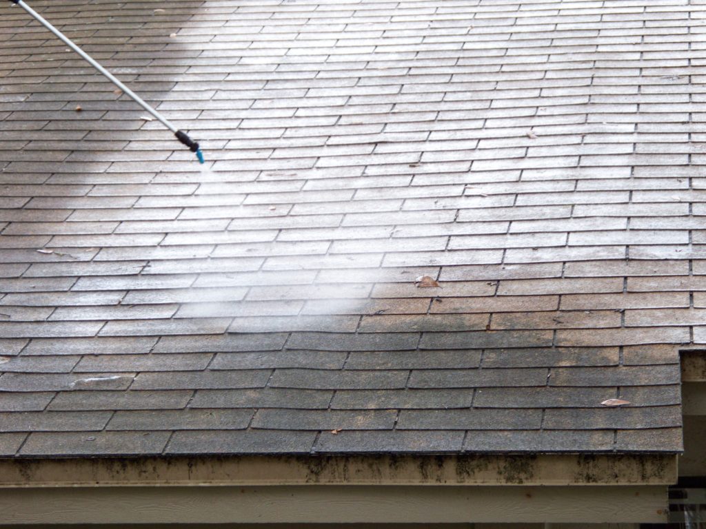 Chemical Roof Cleaning AMAZINGLY CLEAN, INC. (check specials)